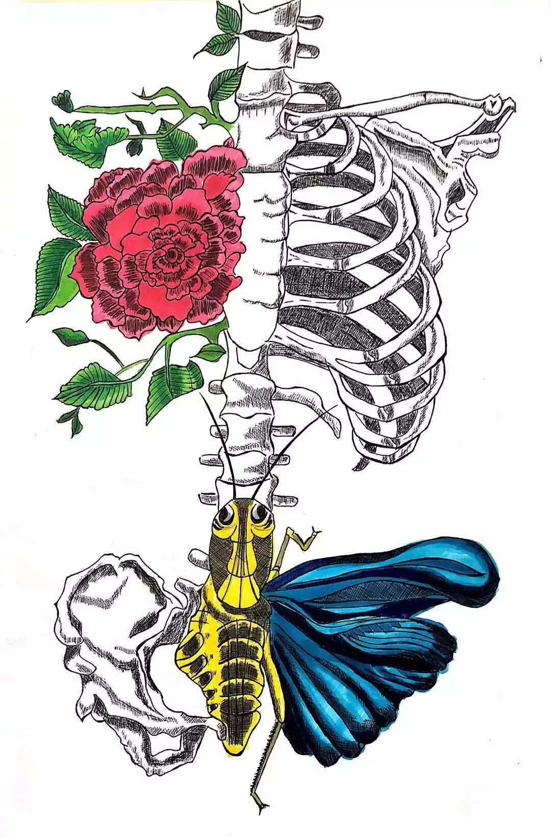 【河南教育新闻网】当解剖刀遇到画笔,这是一批被医学耽误的画家!